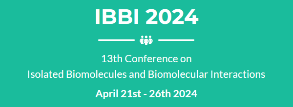 Logo IBBI 2024